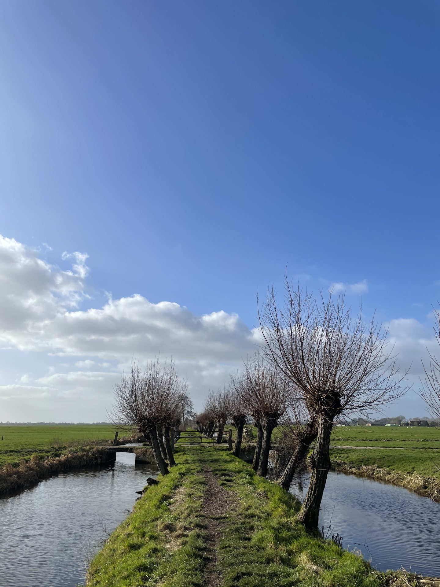 wandelen langs het water Nederland 